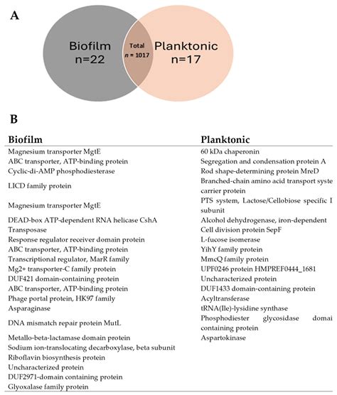 Differential Proteomic Analysis of Extracellular Vesicles Produced by ...
