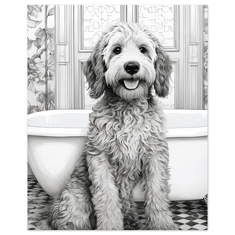 Black And White Goldendoodle
