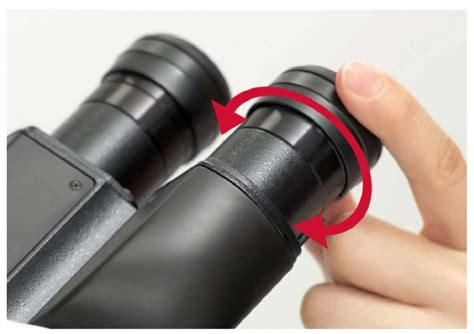 Stereo Microscope 的图像结果