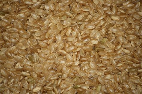 Short Grain Brown Rice Texture – Photos Public Domain