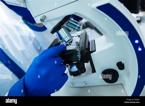 Image result for Using a Microscope Lab