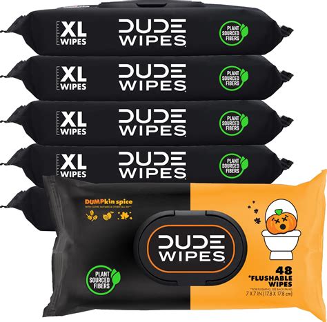 Amazon.com: DUDE Wipes - Flushable Wipes - 6 Pack, 288 Wipes - DUMPkin ...