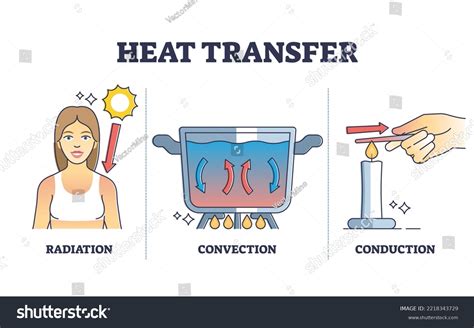 Convection Oven Heat Transfer at Lori Novak blog