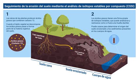 ¿Por qué es un problema la degradación del suelo?: Prevención de la degradación del suelo ...