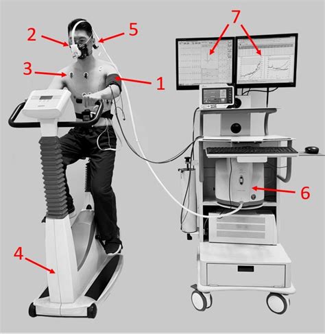 Image result for Exercise Test