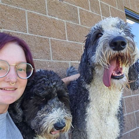 Maddie | Brooklyn Veterinary Clinic