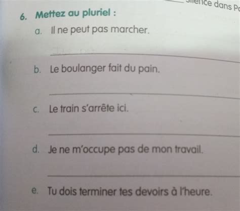 mettez au pluriel and answer all questions as fast as you can ...