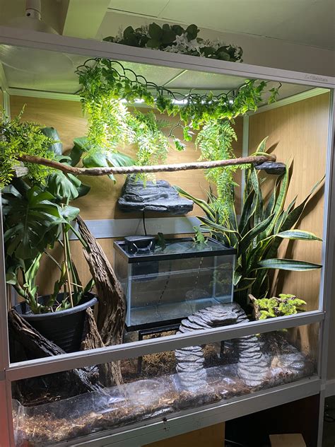 Chinese Water Dragon Enclosure Chinese Water Dragon Enclosure Vision