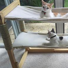 Cat Hammock Ideas by 11 Awesome Diy Cat Furniture Ideas The Family Handyman Cat Hammock Ideas