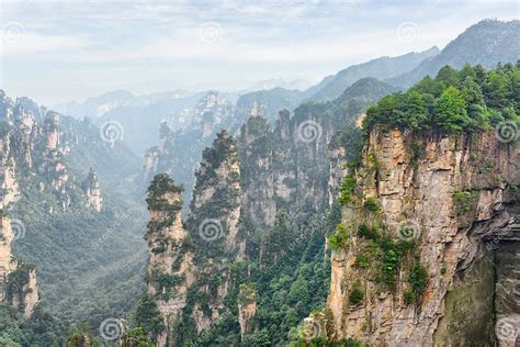 Avatar China 的图像结果