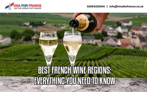 Get online france visa in UK - Best fees & Srvices | Apply Now