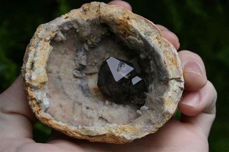 Mooralla Smoky sitting in a perfect crystal lined rhyolite shell ...