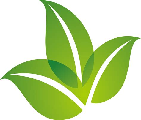 Image result for Spring Leaf Logo Java