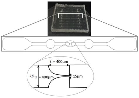 Micromachines | Special Issue : Advances in Microfluidic Devices for ...