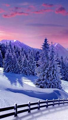 Winter Wallpaper Hd Iphone by Iphone 5 Wallpapers Hd January 2013 Winter Wallpaper Hd Iphone
