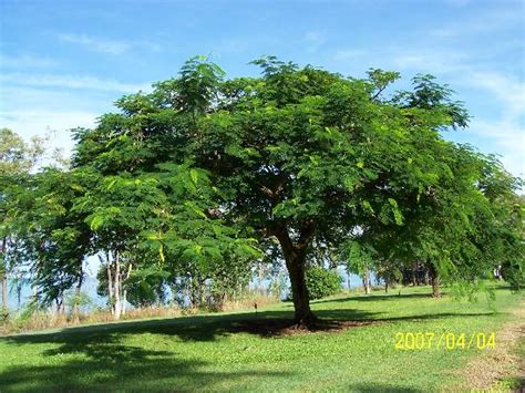 Groote Eylandt Tourism (2023): Best of Groote Eylandt - Tripadvisor