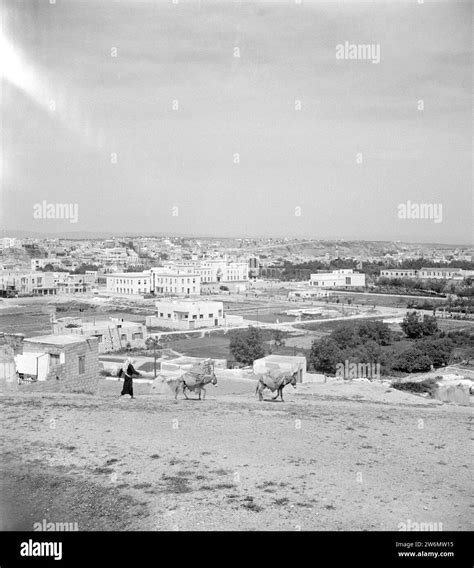 View of Hama with the tell from the south east, Arab man with donkeys ...