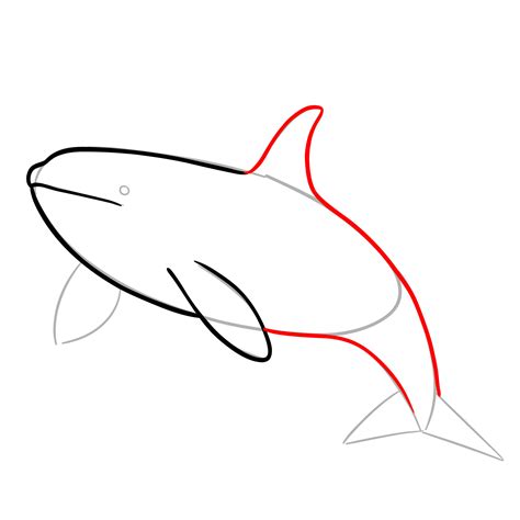 How to Draw an Orca – Easy Killer Whale Drawing Tutorial