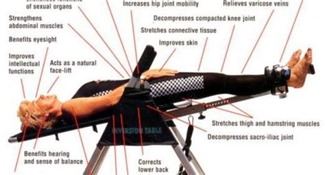 Image result for Inversion Table for Bulging Disc