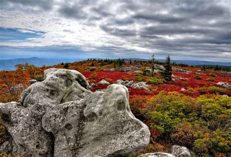 Dolly Sods Wilderness