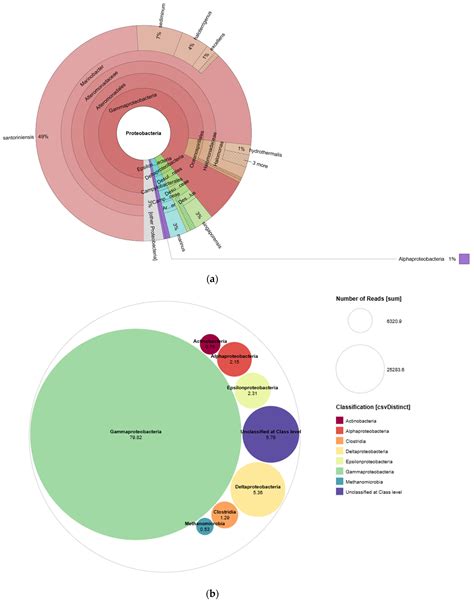 Comprehensive Analysis of Formation Water Microorganisms for Their ...