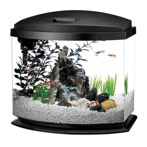 5 Gallon Fish Tanks - Options and Reviews 2023 | A Little Bit Fishy