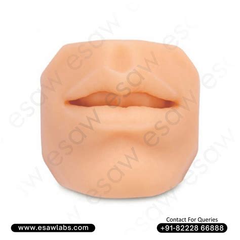 Lip Suture and Skill Training Pad – Realistic Silicone Model for Sutur