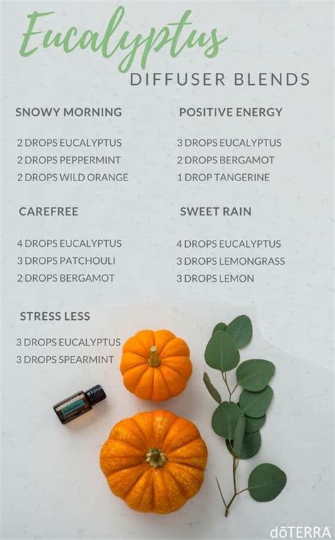 essential oils eucalyptus