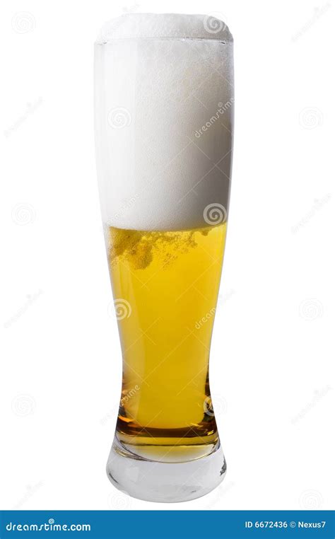 Tall Pilsner Glass of Beer stock photo. Image of beer - 6672436