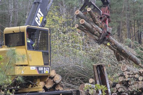 From mid-Atlantic to Canada, Norfolk District foresters manage unique ...