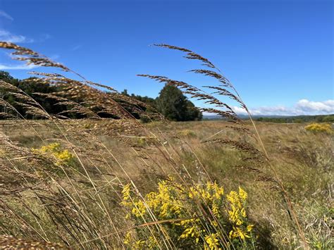 Exploring the Layers of the Landscape, Oak Spring Garden Foundation ...