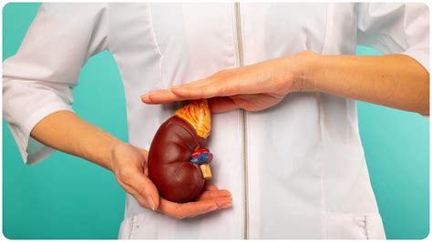 Kidney Problem:ये गलतियां करते हैं तो किडनी से धो बैठेंगे हाथ, जानिए किडनी को हेल्दी रखने के लिए ...