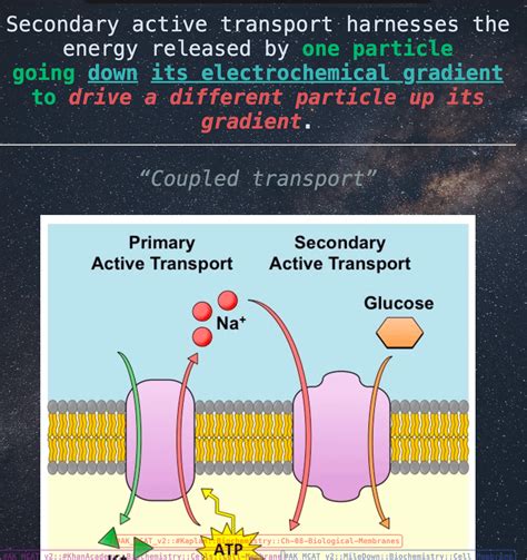 Picture Of Active Transport