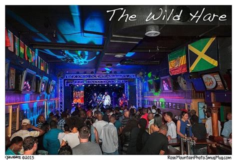 SATURDAY NIGHT REGGAE PARTY at The Wild Hare with GIZZAE plus DJ G ...