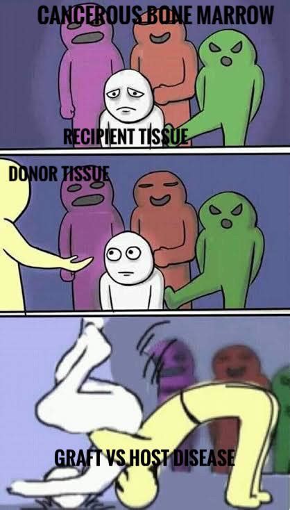 Anki Society Meme 的图像结果