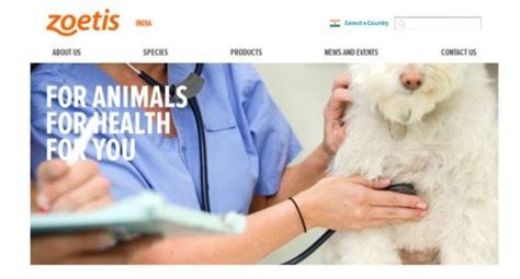 Zydus Acquires Select Brands Of Leading Animal Health Co Zoetis - BW ...