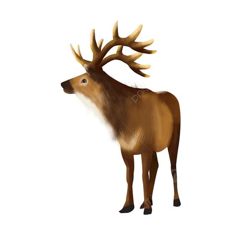 Elk Clip Art Elk Clipart Stock Illustrations – 2,028 Elk Clipart