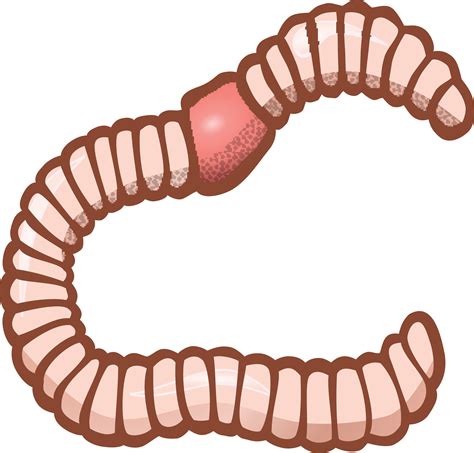 worms clip art 10 free Cliparts | Download images on Clipground 2026