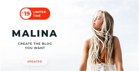 theblogger v1 9 5 a wordpress blogging theme