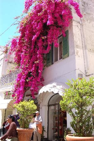 A wonderful tour with Francesco - Reviews, Photos - Mondo Guide Private ...