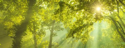 How Does Earth's Greenhouse Effect Work? | Saving Earth | Encyclopedia ...