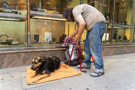 Homless Student Photography 的图像结果