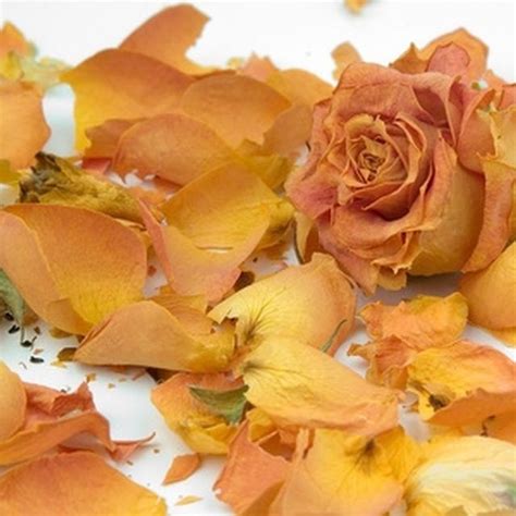 Inspiration for the Space Around You | Hunker | Dried rose petals, Rose ...