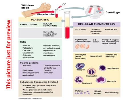 Whole blood, serum & plasma collections | PPT