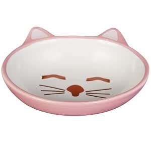 Petrageous Designs Here Kitty 5.50" Oval Pet Bowl, Pink & Blue Assorted ...