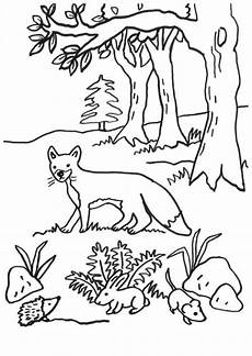 ausmalbild hase winter kostenlose malvorlage f 252 chse fuchs igel hase und maus ausmalbild hase winter kostenlose malvorlage f 252 chse fuchs igel hase und maus