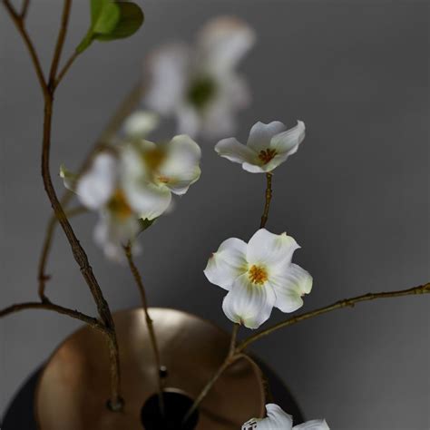 Poly and Bark Review - Must Read This Before Buying