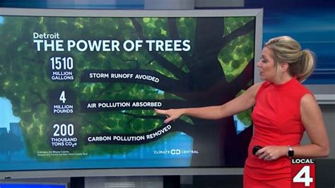 The power of trees: Runoff avoided, pollution removed thanks to Detroit ...