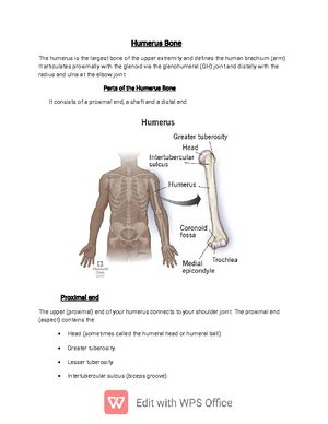 Cervical Spondy-WPS Office - CERVICAL SPONDYLOSIS Cervical spondylosis ...