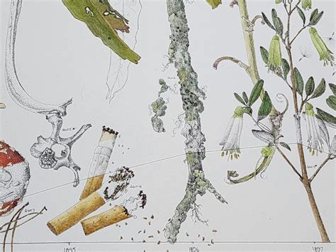 The Scrolls: 3,000 days…and counting - CLIMARTE